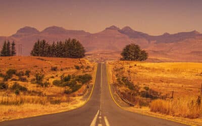 Offshore Trusts – The Road Ahead
